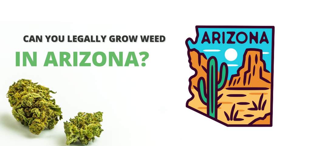 grow weed in Arizona legally 