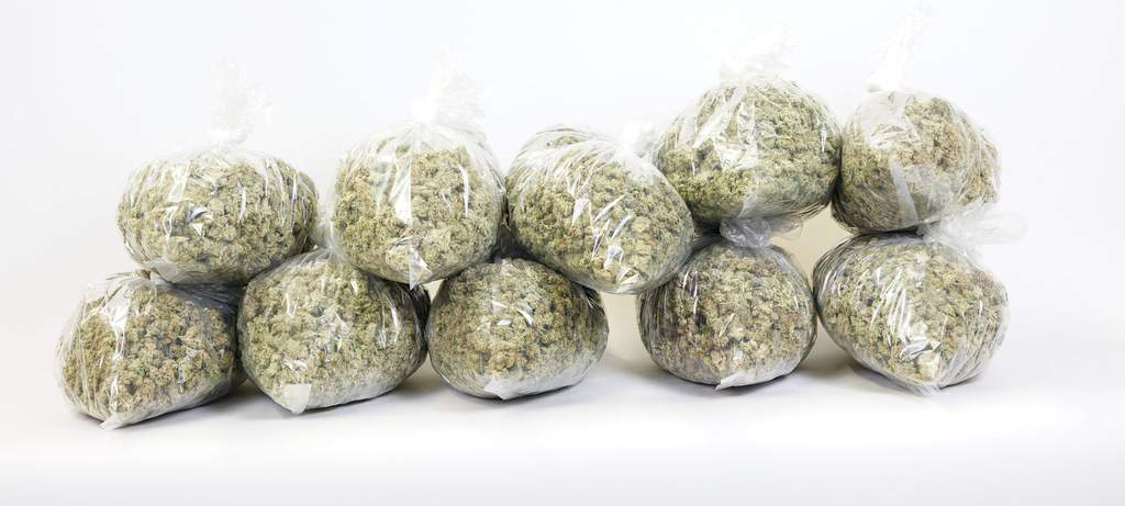 10 pack of weed, 10 pounds of marijuana bagged up in turkey bags