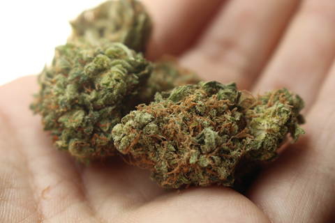 rare cannabis strain