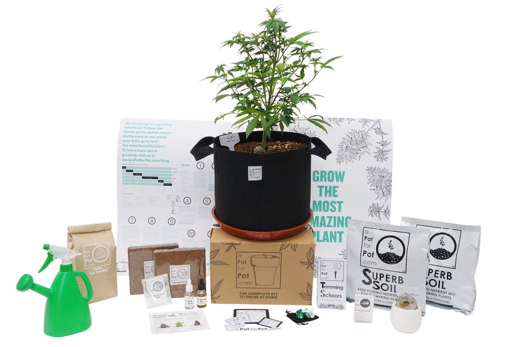 5 gallon Grow Kit with ingredients, tools, and a happy cannabis plant 