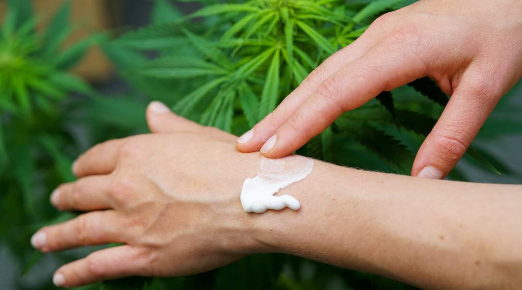 rubbing cbd ointment on skin disorder with cannabis plant in the background