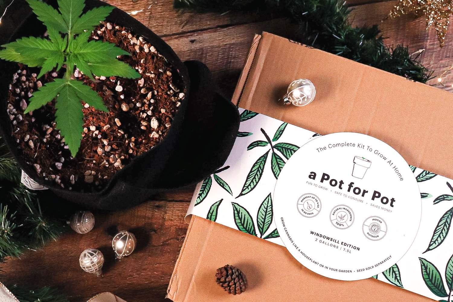 a Pot for Pot grow kit christmas gift