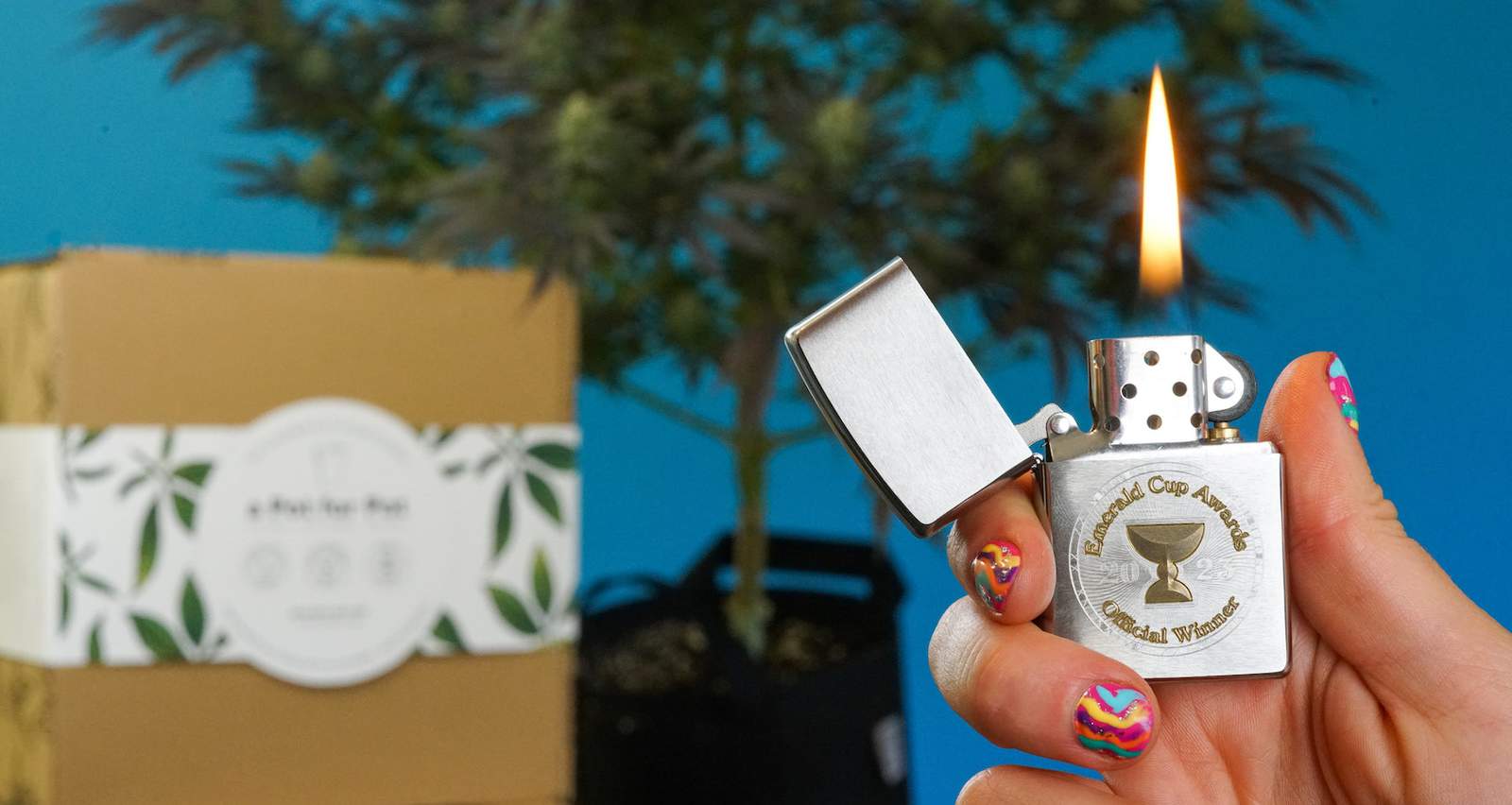 https://apotforpot.com/assets/ext/s/files/1/2426/5205/articles/opt/Emerald_Cup_2023_official_winner_zippo_lighter_in_front_of_first_place_winner_most_innovative_product_industry_asset_a_Pot_for_Pot_5_gallon_complete_kit_with_cannabis_plant.jpg