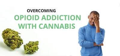 Overcoming Opioid Addiction With Cannabis