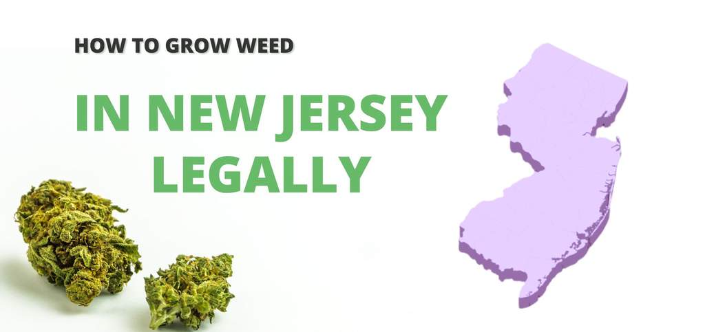 Grow weed legally in New jersey 