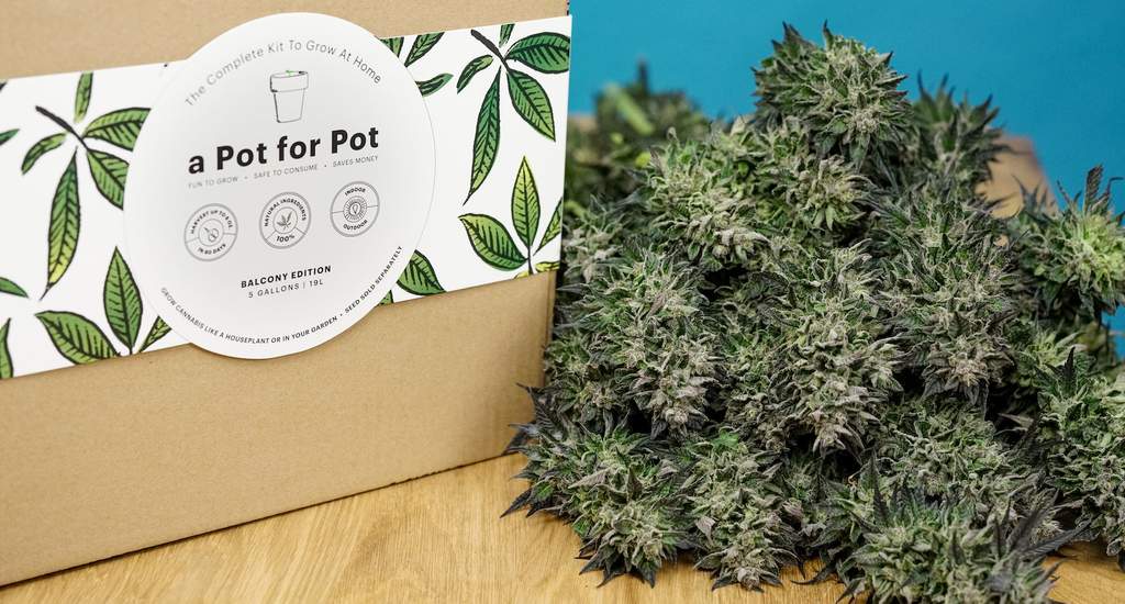 Emerald Cup 2023 1st place Most Innovative Product – Industry Asset goes to:  a Pot for Pot – 5 Gallon Complete Grow Kit