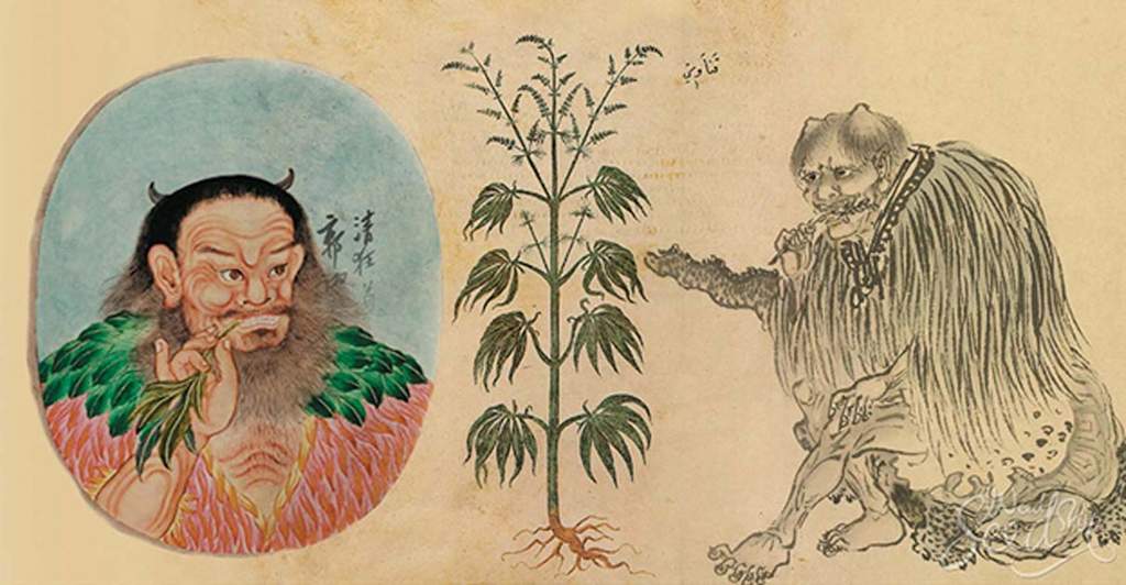 drawing of Emperor Shen Nung with cannabis plant 