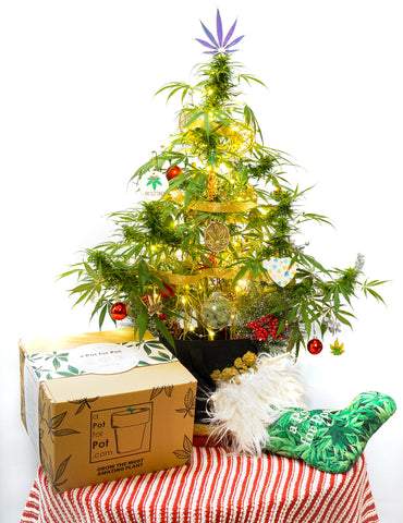 Marijuana Christmas Tree with Stoner Gifts
