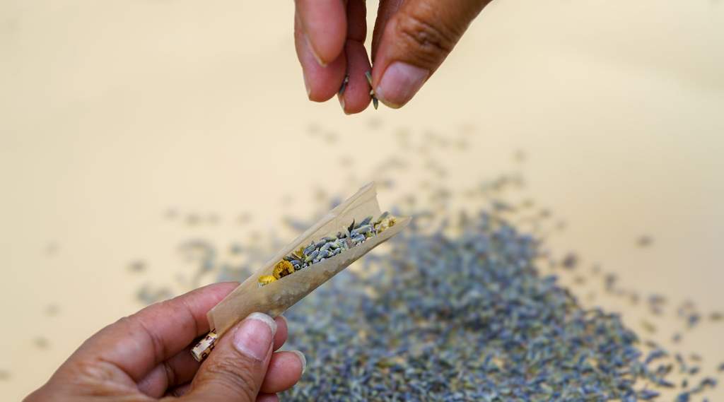 adding lavender to an herbal joint for a relaxing smoke
