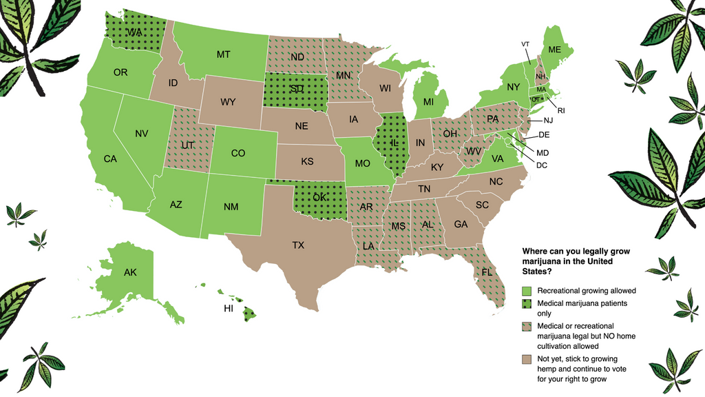 map of where can you legally grow marijuana in the united states