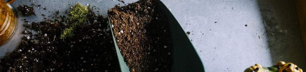 nutrient rich soil
