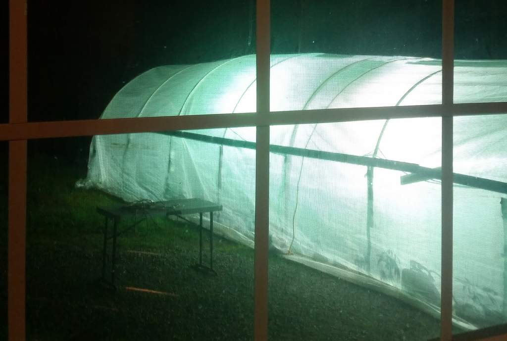 weed greenhouse with supplemental lighting