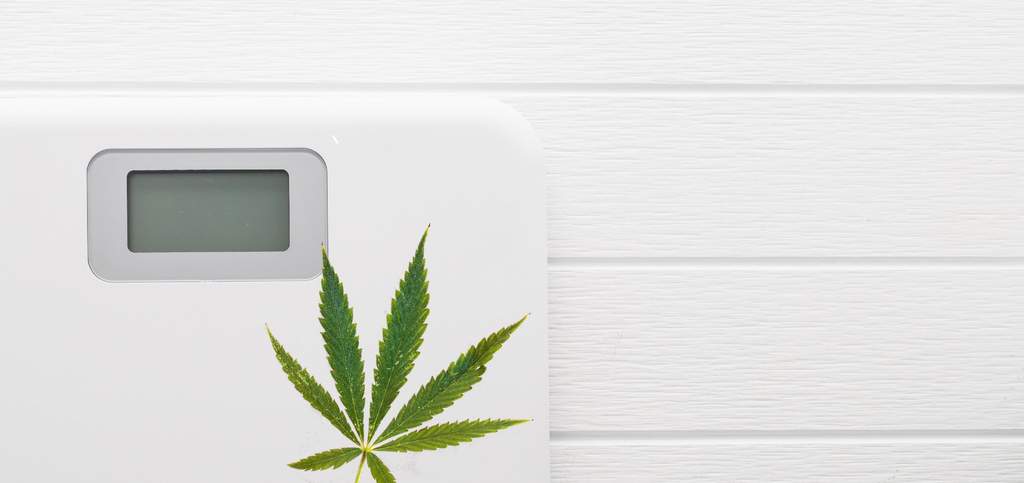 where to buy a weed scale