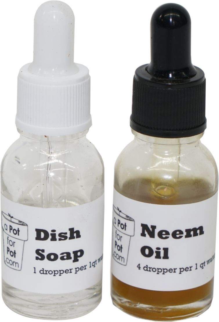 Neem Oil Pest Repellant