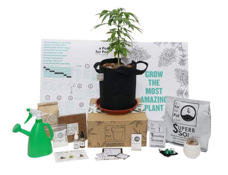 2 gallon weed grow kit with soil and weed growing equipment