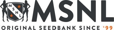 Marijuana Seeds NL logo