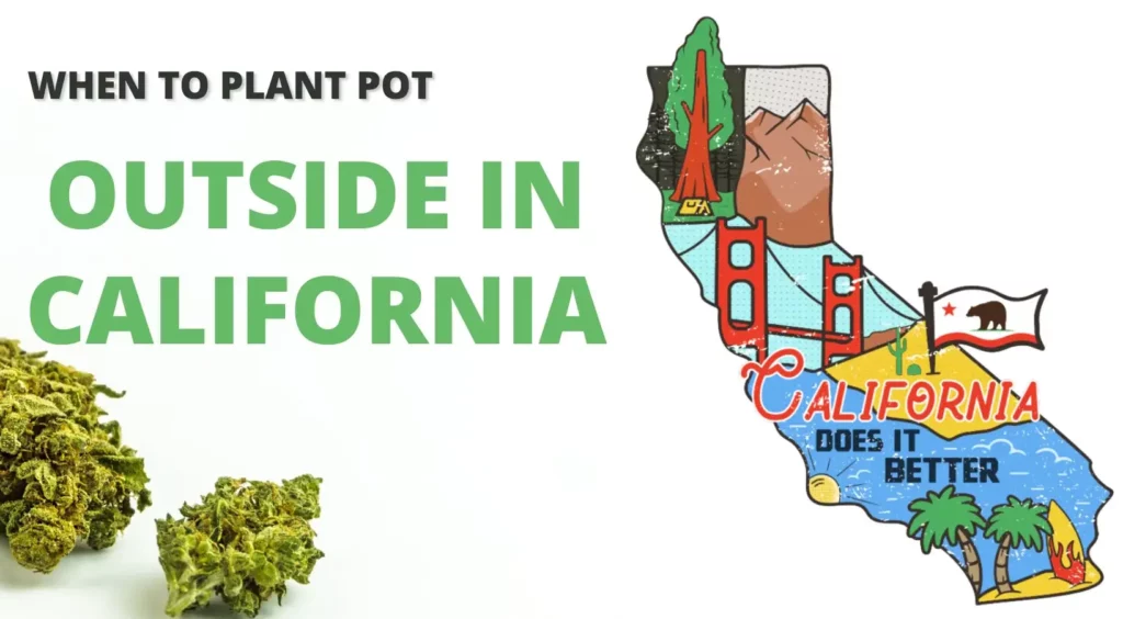 Growing cannabis outside california map