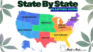 cannabis planting guide state by state