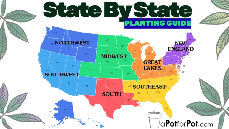 cannabis planting guide state by state
