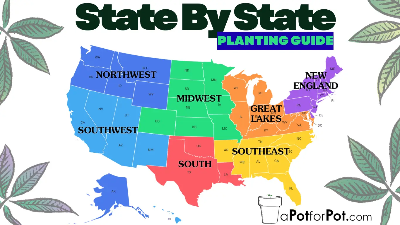 cannabis planting guide state by state