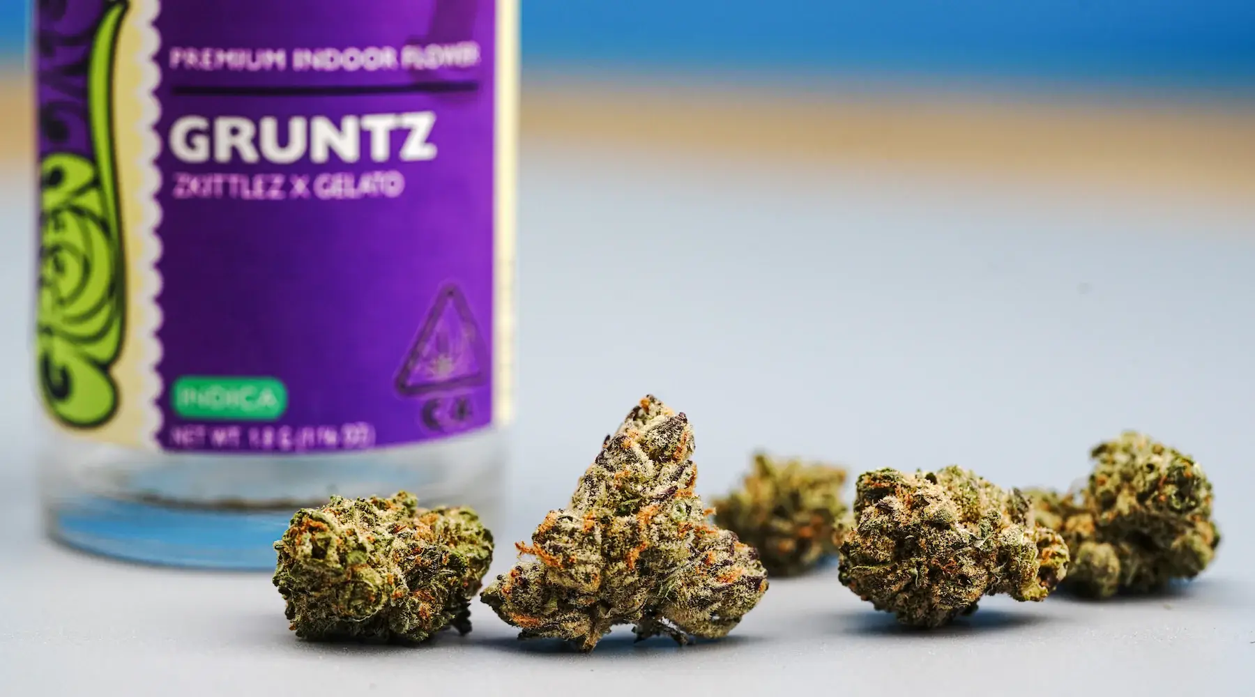 Premium Gruntz strain buds sitting in front of a purple Gruntz "Zkittlez X Gelato" product label.
