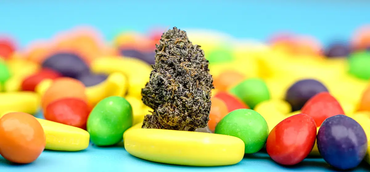 A dark, conical Runtz strain bud covered in frosty white trichomes, surrounded by colorful fruit-shaped Runts candy on a blue surface.
