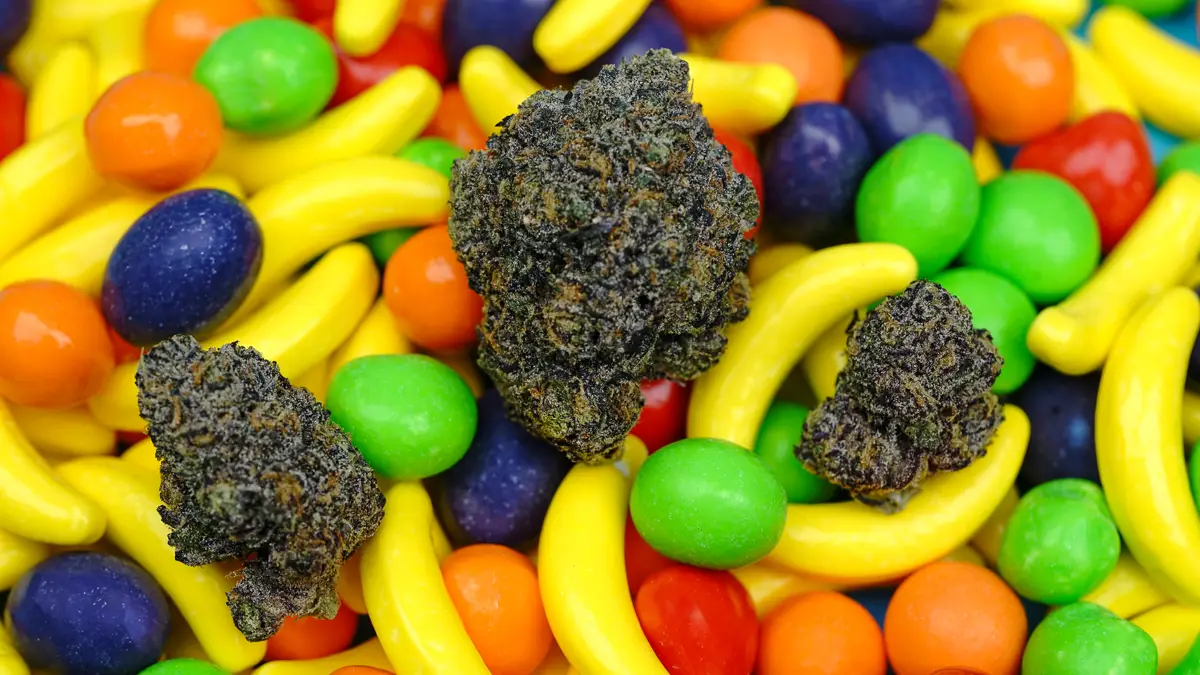 Three frosty Runtz cannabis buds sitting on a vibrant pile of multi-colored fruit-shaped Runts candy.