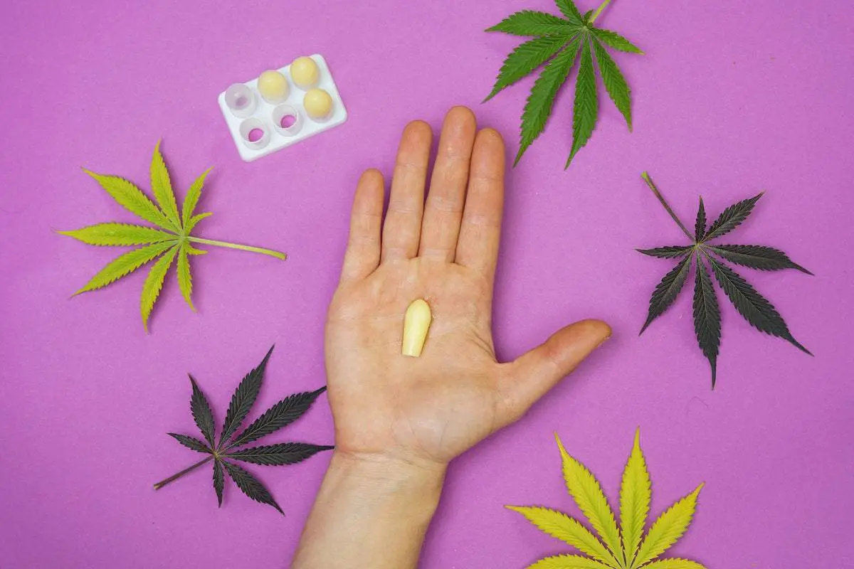 Cannabis infused suppositories displayed on a clean surface, highlighting THC and CBD options for pelvic pain relief and high bioavailability.