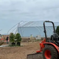weed plants by a greenhouse