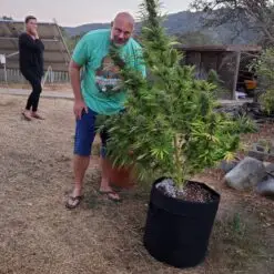 a pot for pot grown outside