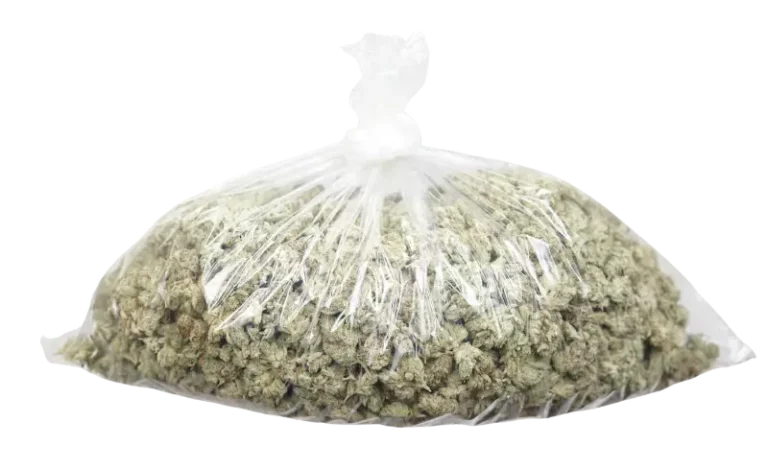 grow a pound of cannabis