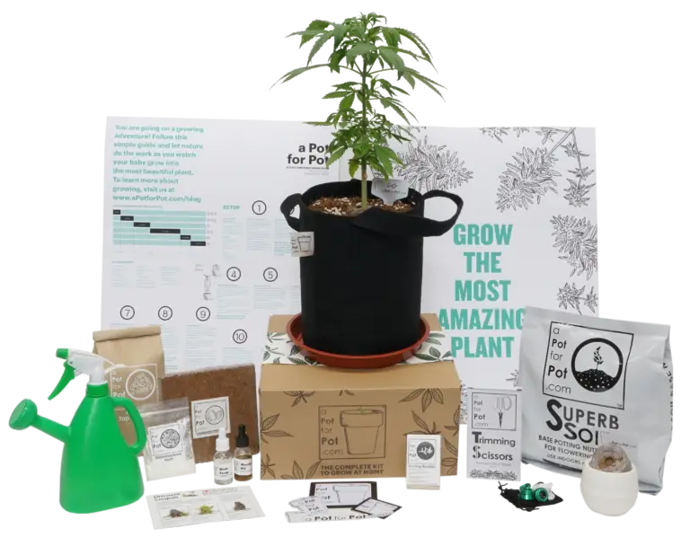 cannabis soil grow kit