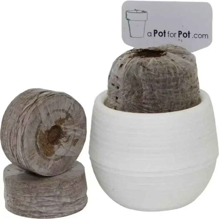 Jiffy peat pellets beside a white seedling pot with an a Pot for Pot plant label
