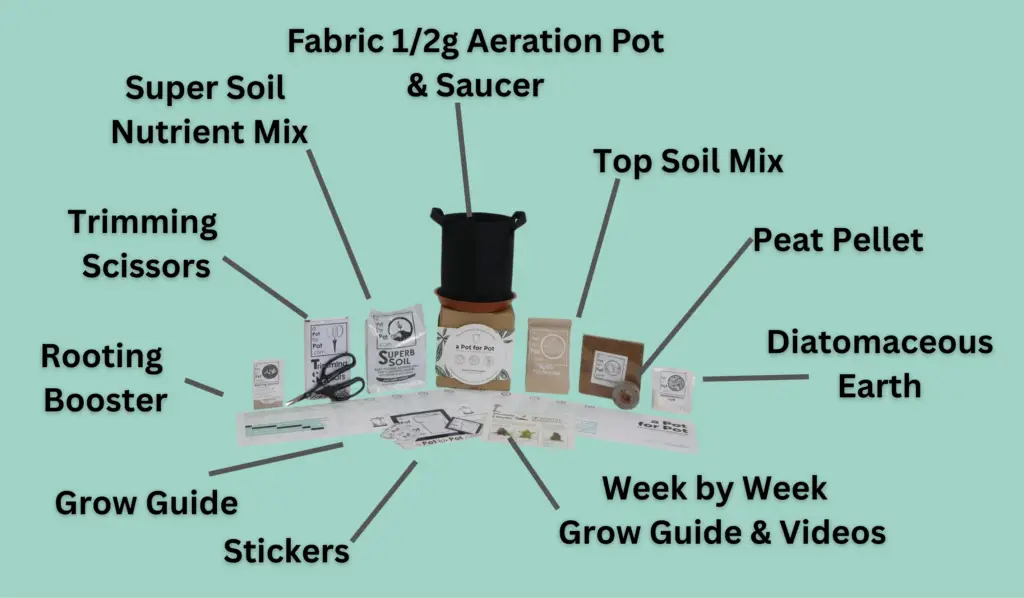 mini grow kit contents