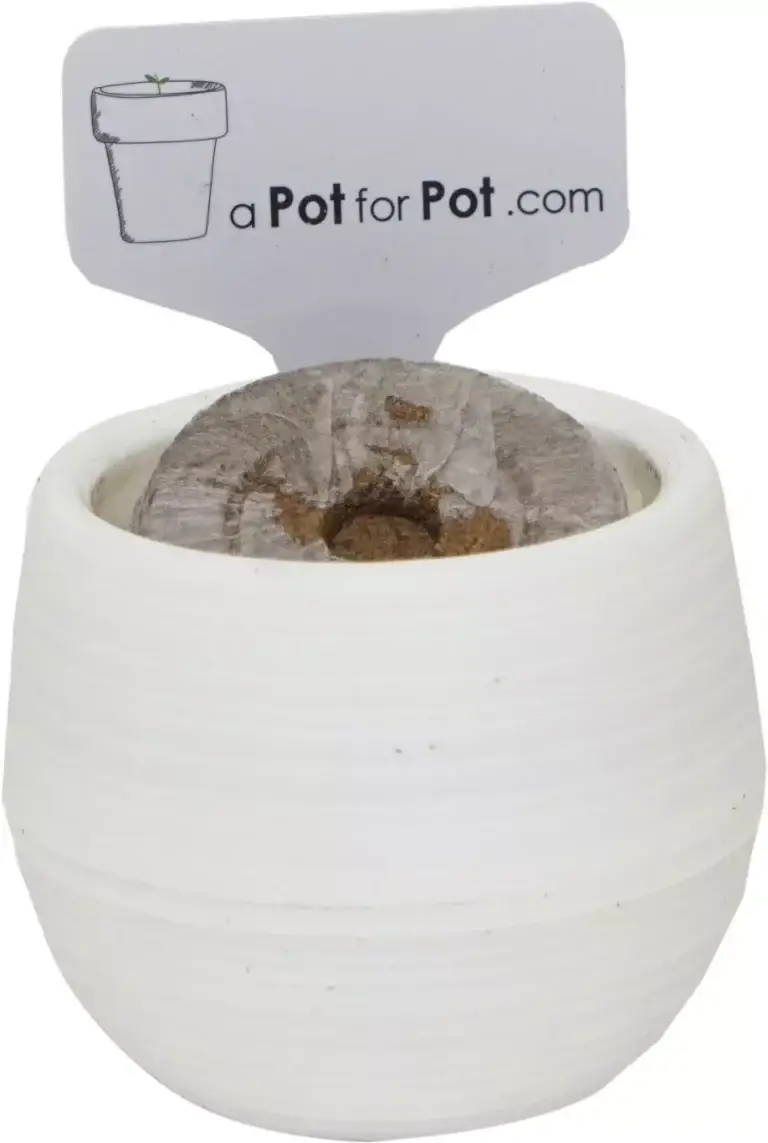 a Pot for Pot Seed Starting Kit: seedling pot, peat pellet and plant label