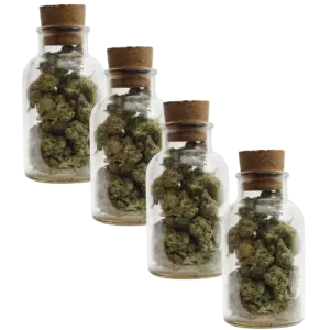 4oz from small pot plant in 2 gallon a pot for pot grow kit