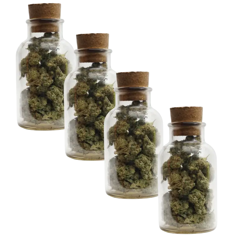 4oz from small pot plant in 2 gallon a pot for pot grow kit