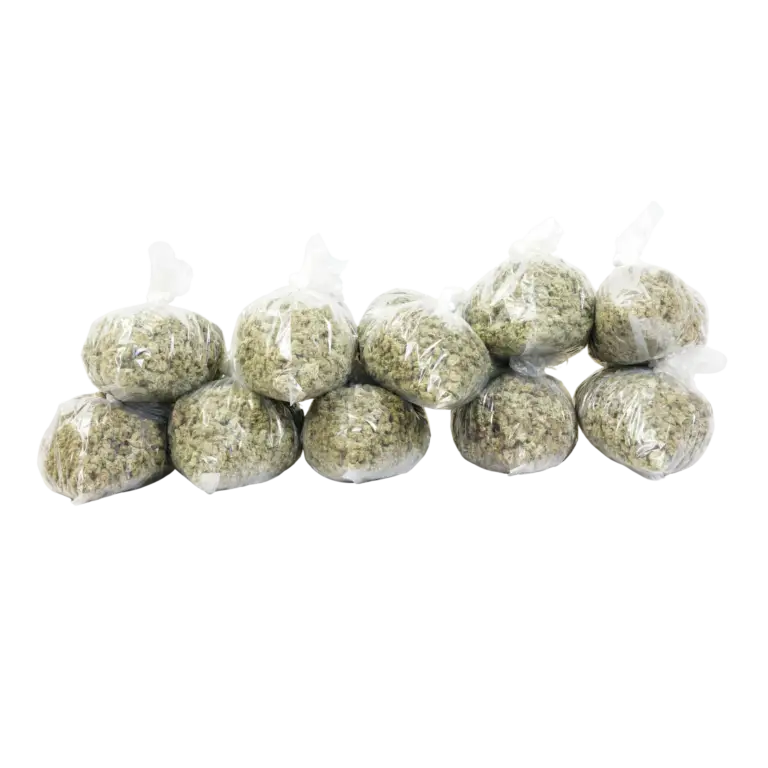 How much you can yield off six big outdoors marijuana plants 10 pounds of weed