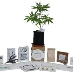 mini kit included in the large