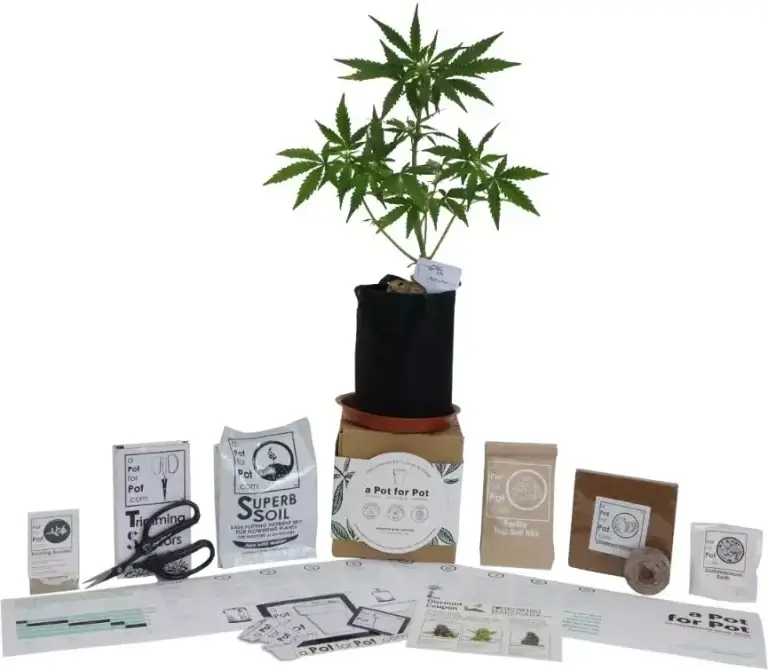 a pot for pot weed grow kit contents