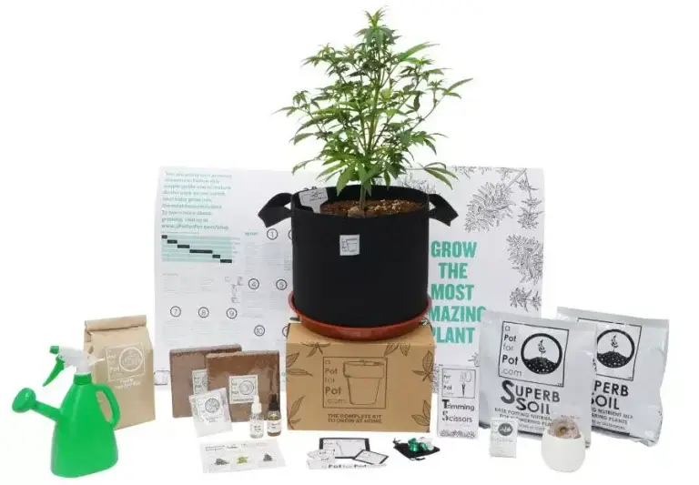 Complete contents of the a Pot for Pot 5 Gallon Cannabis Grow Kit laid out, featuring living Superb Soil, fabric pot, trimming scissors, pest protection, and smartphone macro lens.