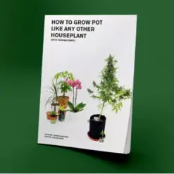Cannabis Grow Guide