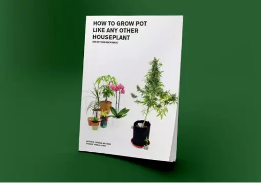 Cannabis Grow Guide