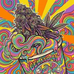 Gelato Platinum Strain Card