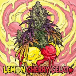 Lemon Cherry Gelato