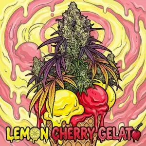 Lemon Cherry Gelato