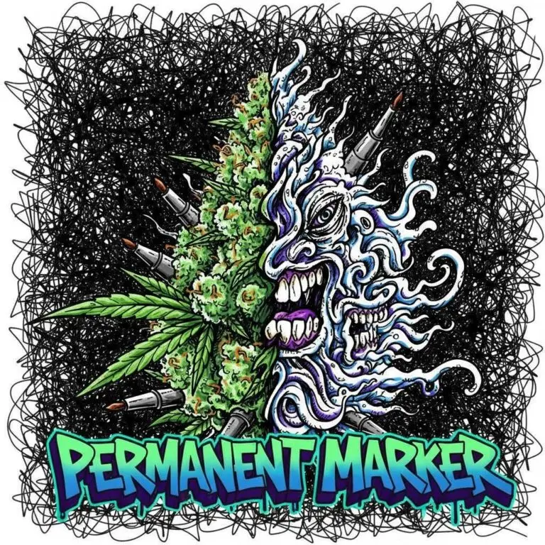 Permanent Marker Auto feminized cannabis seeds