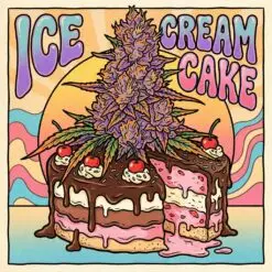 Ice Cream Cake Strain Card.