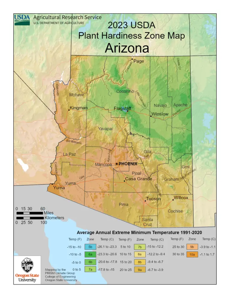 USDA Plant Hardiness Zone Map for Arizona showing growing zones 4b through 10b, highlighting planting regions for cannabis in Flagstaff, Phoenix, and Tucson.