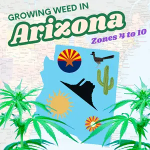 "Guide Growing Weed In Arizona" text overlaying a map of Arizona USDA Hardiness Zones (6-10) and a healthy cannabis plant, illustrating the state's outdoor cultivation climate.